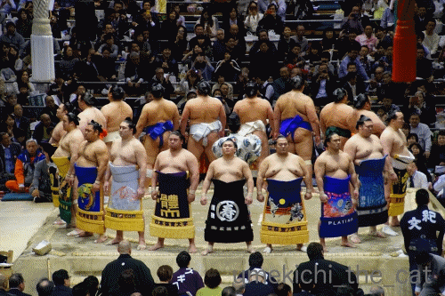 幕内土俵入り.gif