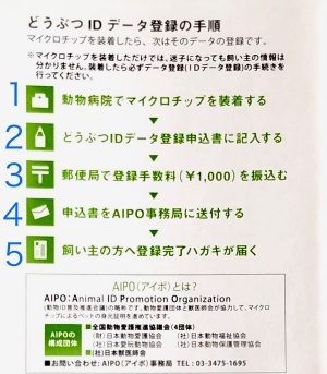 手続き_batch.jpg