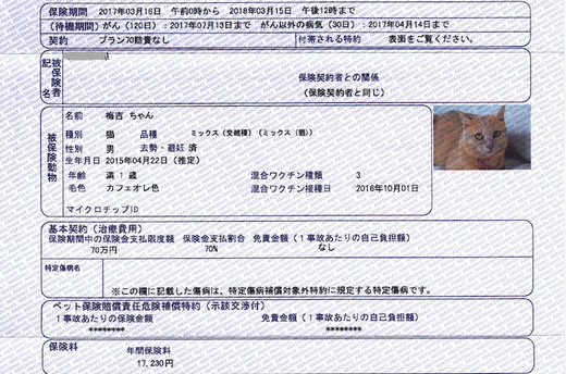 梅吉保険証書.jpg