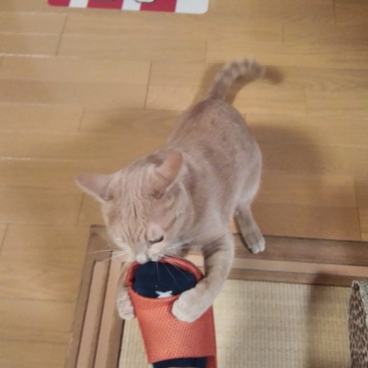 IMG_20170428_193531-picsayのコピー.jpg