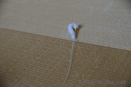 anigif.gif