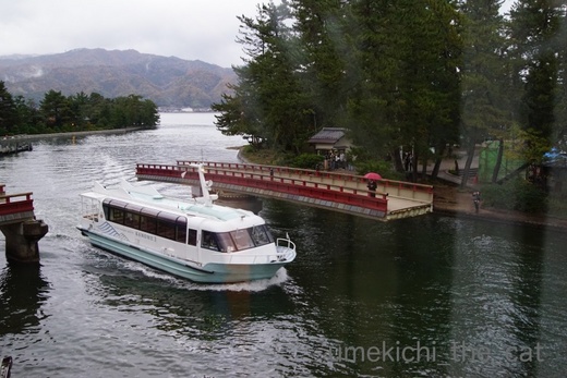 batch_DSC01744.jpg