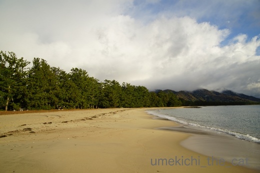 batch_DSC01806-1.jpg