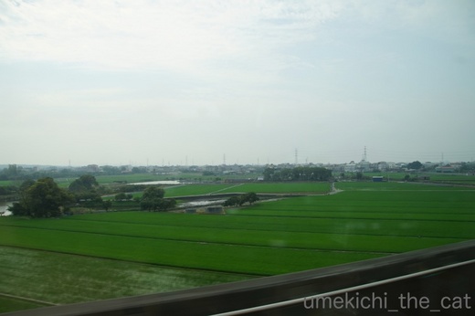 batch_DSC03079.jpg