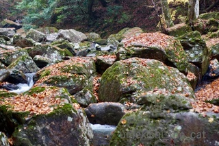 batch_DSC03090.jpg