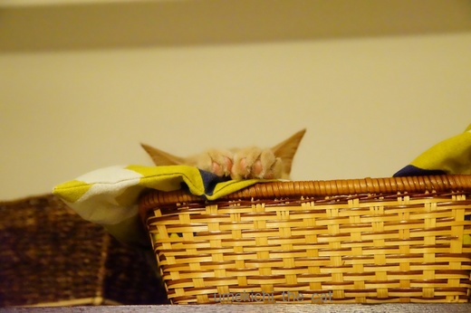 batch_DSC07364.jpg