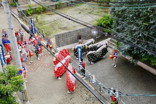batch_DSC08584.jpg