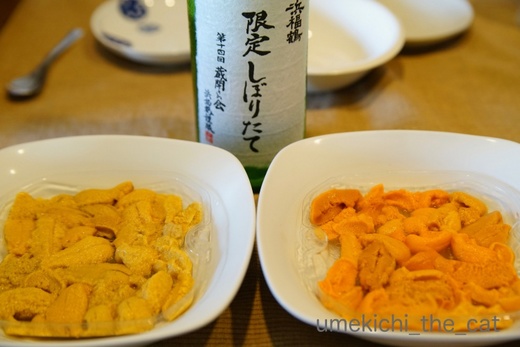 batch_DSC08893.jpg