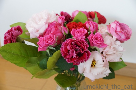 batch_DSC09239.JPG