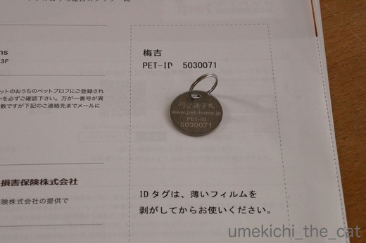 batch_かぶがぶDSC00734.JPG