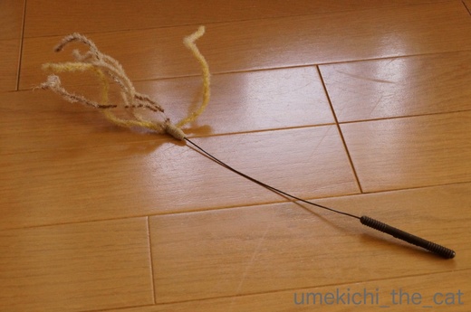 batch_かぶがぶDSC00737.JPG