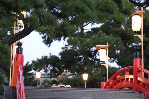 batch_かぶがぶDSC07796.jpg