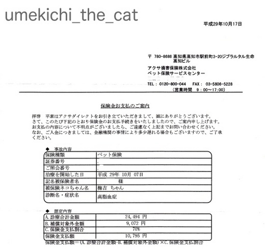 batch_保険請求返答１.jpg