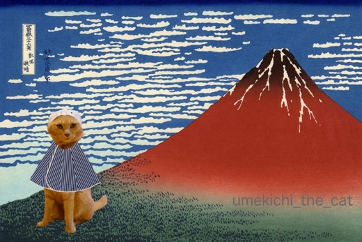 batch_旅姿 梅吉小僧.jpg