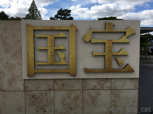 batch_IMG_0259.jpg