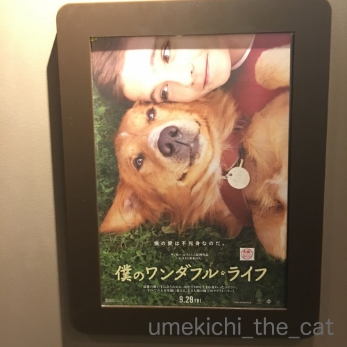 batch_IMG_0294.jpg