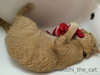 batch_IMG_1256.jpg