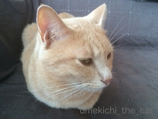 batch_IMG_1914.jpg