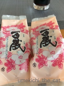 batch_IMG_1938.jpg