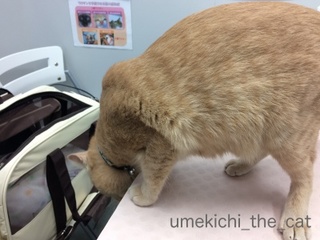batch_IMG_2019.jpg