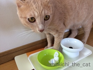 batch_IMG_2034.jpg