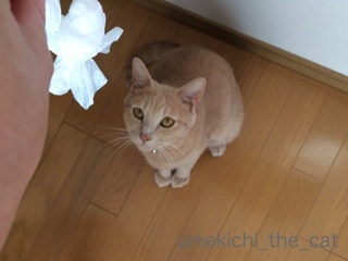 batch_IMG_2043.jpg