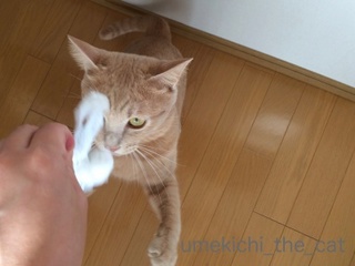 batch_IMG_2045.jpg
