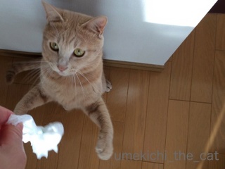 batch_IMG_2066.jpg