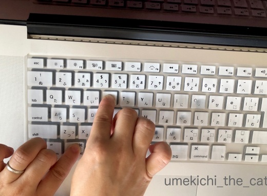 batch_IMG_3038.jpg
