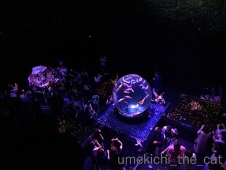 batch_IMG_4241.jpg