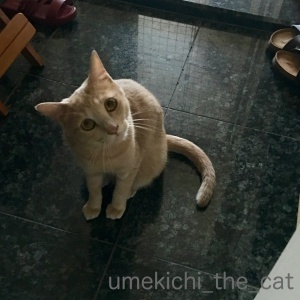 batch_IMG_4248.jpg