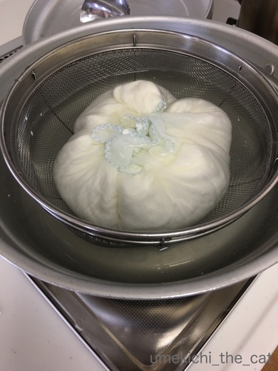 batch_IMG_5547.jpg