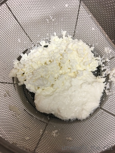 batch_IMG_5548.jpg