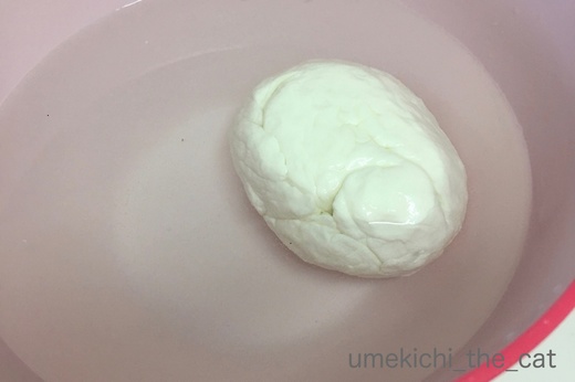 batch_IMG_5561.jpg