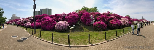 batch_IMG_7049.jpg
